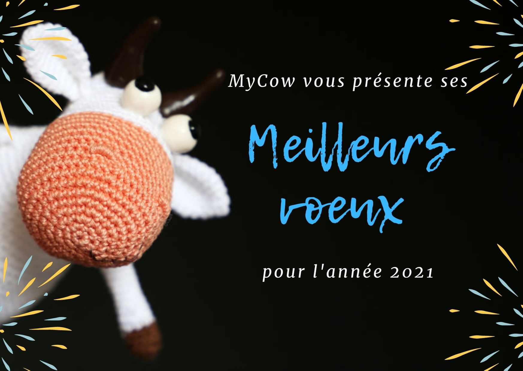 Bonne année 2021 !