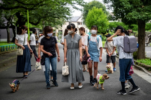 Au Japon, une patrouille de chiens veille sur les enfants