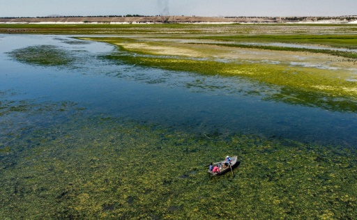 Syrie : sécheresse et géopolitique menacent les riverains du mythique Euphrate