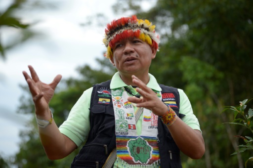La destruction de l'Amazonie provoquerait une "apocalypse" mondiale