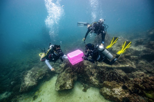 Les îles Phi Phi, dévastées par le tourisme de masse, promettent de se réinventer