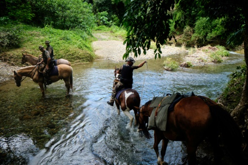 En Nouvelle-Calédonie, le cheval trait d'union entre les gendarmes et les tribus