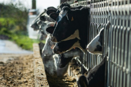 L'Hexagone a perdu 100.000 exploitations agricoles en dix ans.jpg