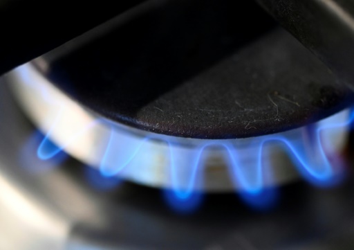 Gaz russe : faute d'embargo, l'UE veut réduire de deux tiers ses importations