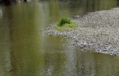Météo-France table sur un printemps chaud et sec sur l'Hexagone