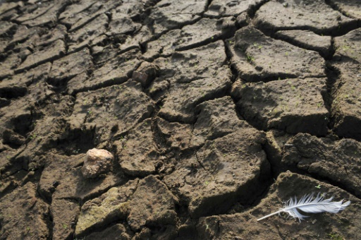 Le monde accro aux fossiles examine les solutions contre le réchauffement