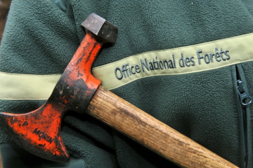 Les forestiers franciliens visés "quotidiennement" par des violences