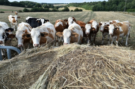 Une transition agroécologique nécessaire, au coeur de l'Europe