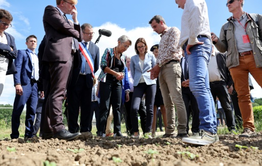 Dans le Loiret, Elisabeth Borne au chevet des agriculteurs touchés par la sécheresse