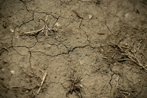 La chaleur envahit la France, la sécheresse s'aggrave