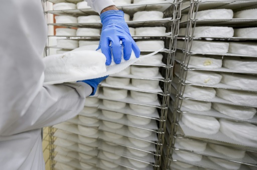 Fromages au lait cru, les bactéries à l'oeuvre
