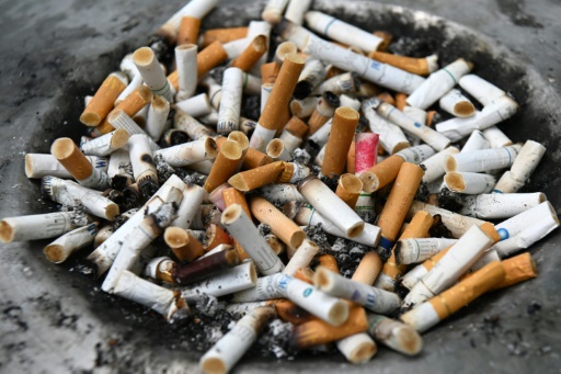 L'industrie du tabac a un impact "désastreux" sur l'environnement, selon l'OMS