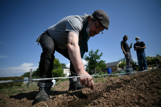 Travailler la terre en liberté pour apaiser ses troubles psychiatriques