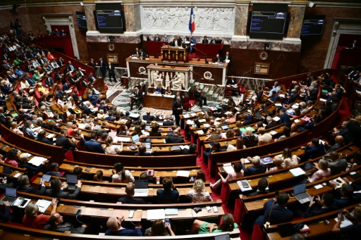 Pouvoir d'achat : l'Assemblée nationale vote la poursuite de la "prime Macron"