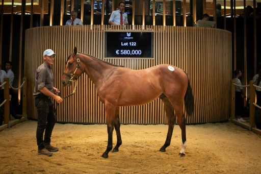 Ventes de yearlings records à Deauville à plus de 51 millions d'euros