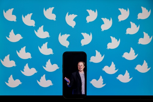 Les utilisateurs de Twitter votent majoritairement pour qu'Elon Musk quitte la direction