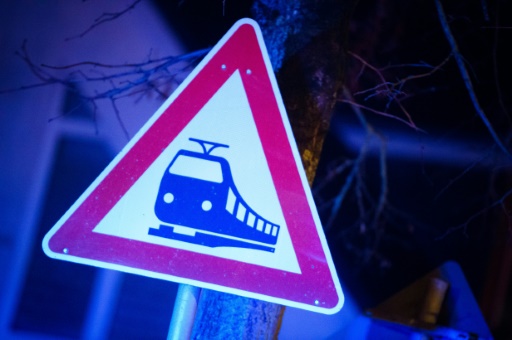 L'Allemagne en train à petit prix, pari pour le climat et le pouvoir d'achat