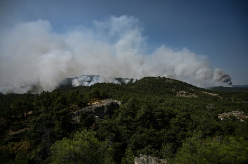 La Grèce frappée par "le plus grand incendie jamais enregistré dans l'UE" (Commission)
