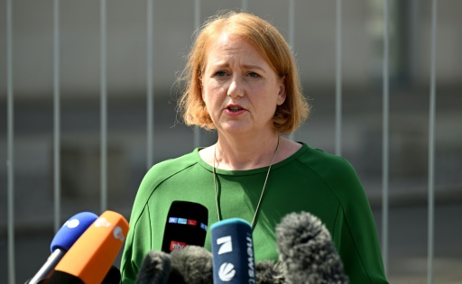 L'Allemagne veut faciliter le changement de genre