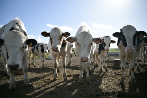 Agriculture : l'Assemblée s'empare du projet de loi pour répondre à la colère