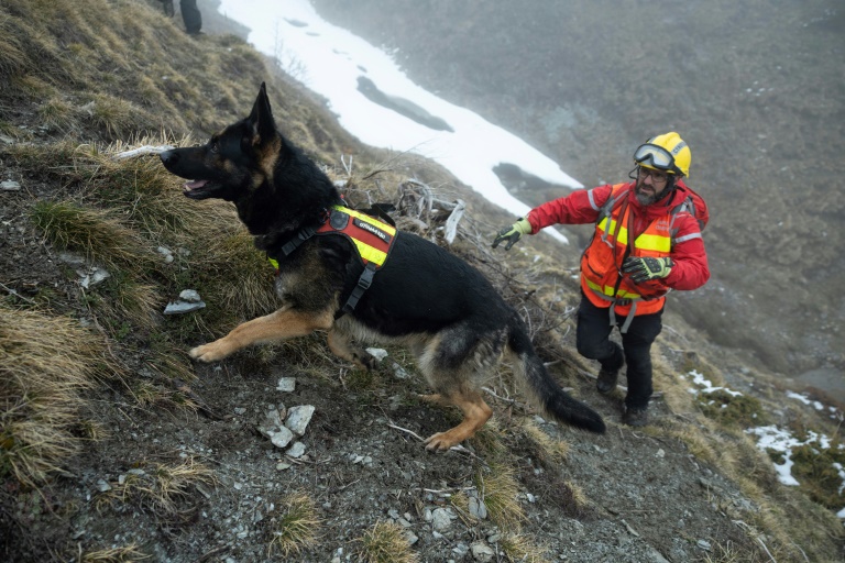Dans les décombres ou en montagne, les sapeurs français et leurs chiens se préparent pour sauver des vies