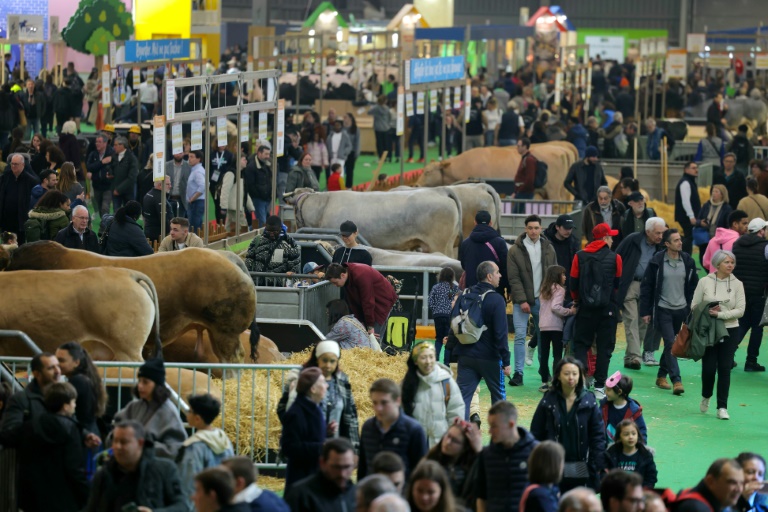 Salon de l'agriculture : fréquentation en légère hausse, la sérénité "retrouvée"