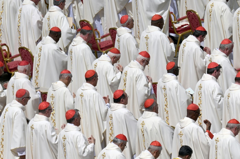 Les cardinaux doivent arrêter le calendrier du conclave pour élire un nouveau pape