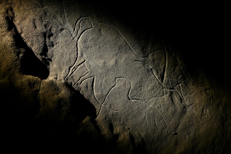 En Dordogne, la délicate préservation du fabuleux bestiaire pariétal de Cussac