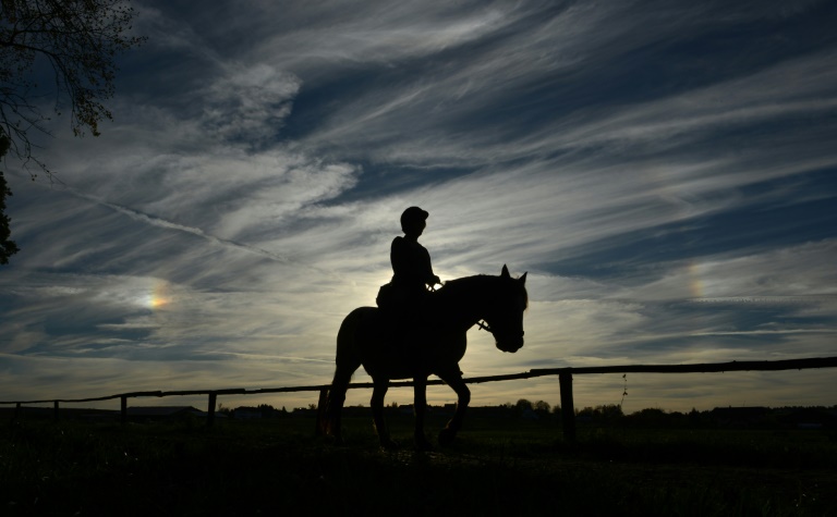 Le cheval, partenaire thérapeutique de victimes de violences sexuelles