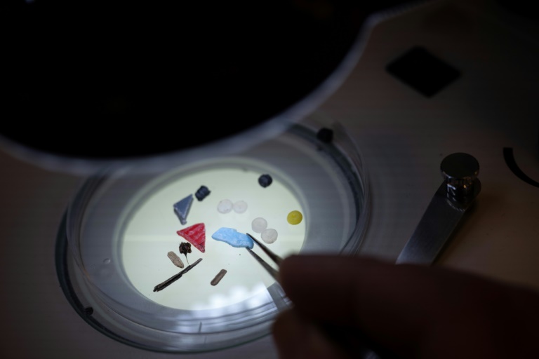 De l'Elbe à l'Ebre, les grands fleuves européens envahis par les microplastiques