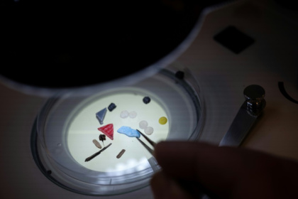 Des microplastiques sous un microscope d'un laboratoire de l'université britannique de Plymouth
en février 2023