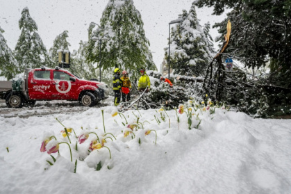 Des pompiers dégagent un arbre tombé sur une route dans les Alpes suisses le 17 avril 2025