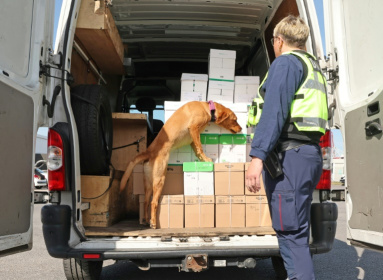 Un chien renifleur et une douanière inspectent le chargement d'une camionnette lors d'un contrôle le 17 avril 2025 à Loon-Plage, près du port de Dunkerque (Nord)