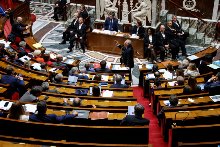 Proportionnelle aux législatives : une multitude de modèles possibles