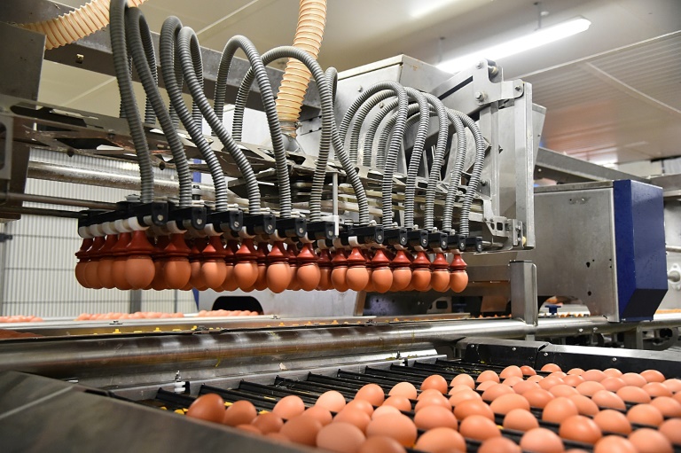 Les Français mettent plus d'oeufs dans leur panier