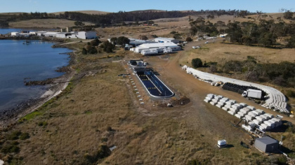 Vue aérienne de la ferme marine de Sea Forest à Triabunna, le 26 mars 2025 en Tasmanie - Gregory PLESSE (AFP)