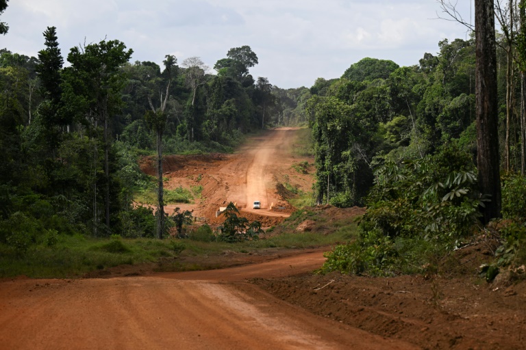 Guyana : une route au milieu de nulle part pour développer le pays