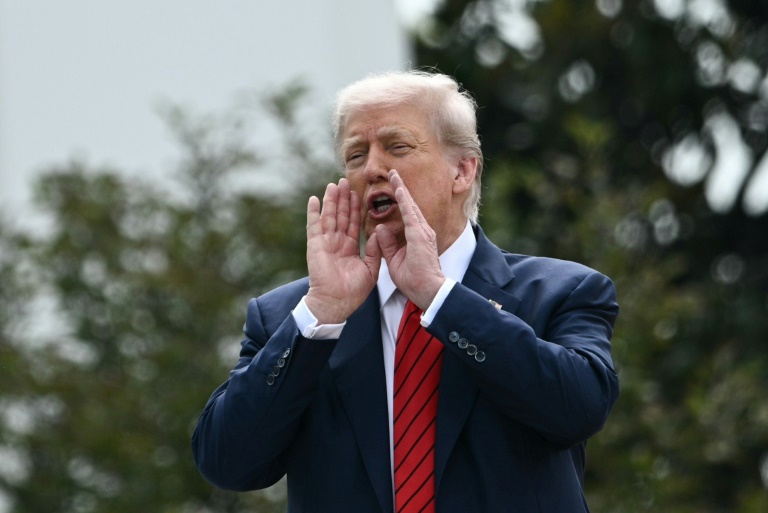 Le Brésil premier pays concerné par la hausse des droits de douane, l'Inde dans le collimateur