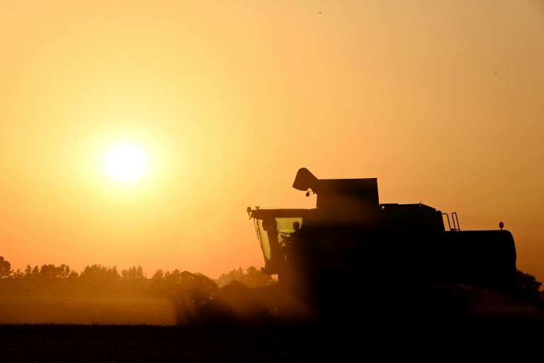 Agriculture: la loi Duplomb entrevoit le bout du tunnel parlementaire, sans éteindre la controverse