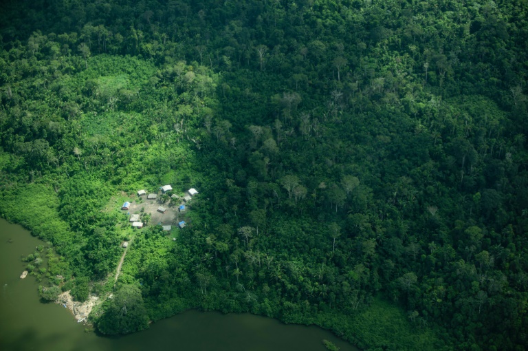 Amazonie brésilienne : remonter la trace d'indigènes isolés pour protéger la forêt