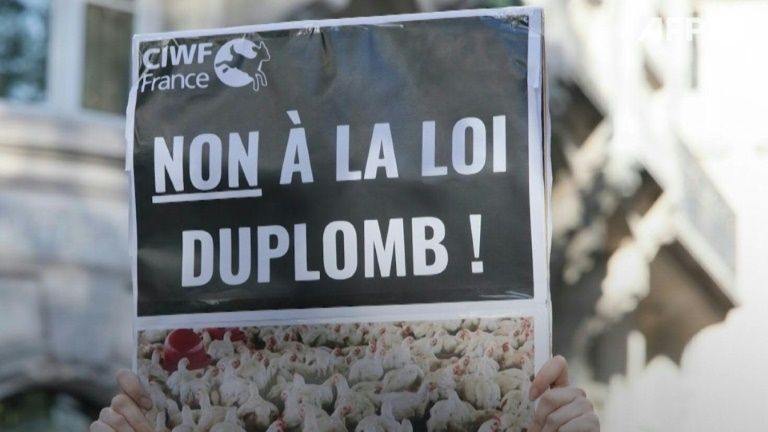 Macron promulgue la loi Duplomb après la censure partielle du Conseil constitutionnel