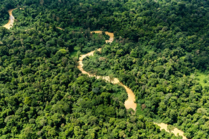 Vue aérienne de la forêt amazonienne, le 12 octobre 2017, en Guyane française - Jody AMIET (AFP)