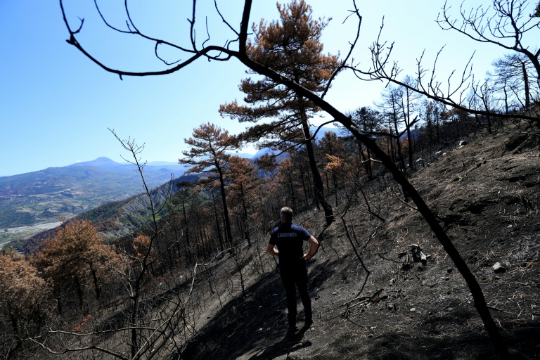 Après des incendies monstres, l'Albanie doit repenser l'avenir de ses forêts
