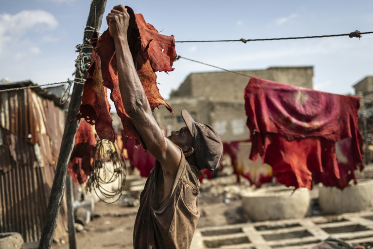 Plébiscité par les grandes maisons de luxe, le cuir "Made in Nigeria" se trace un avenir local