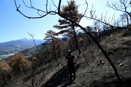 Le chef des pompiers Ilir Llapushi inspecte les dégâts causés par des incendies à Skenderbegas, près de Gramsh, dans le centre de l'Albanie, le 16 septembre 2025 - Adnan Beci (AFP)