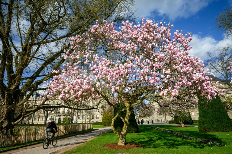 Municipales : moins de voitures, plus de vélos, on continue ?