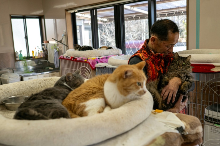 Sauver les animaux abandonnés de Fukushima : la mission acharnée d'un ancien travailleur de la centrale