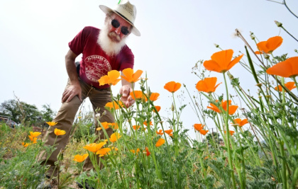 Rene Amy examine les pavots de Californie qu'il a semés sur le terrain de sa maison, rasée par les incendies de Los Angeles, en Californie, le 30 mars 2026 - Frederic J. BROWN (AFP)