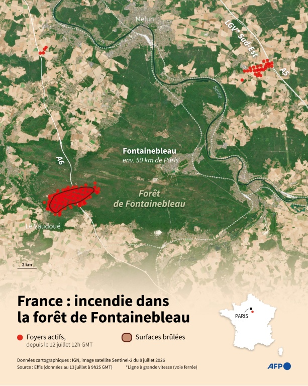 Forêt de Fontainebleau: les feux sont "fixés", quatre gardes à vue encore en cours