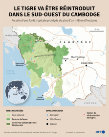 Carte montrant la chaîne des Cardamomes, forêt tropicale protégée du sud-ouest du Cambodge où l'Inde va envoyer des tigres - John SAEKI, Nicholas SHEARMAN (AFP)